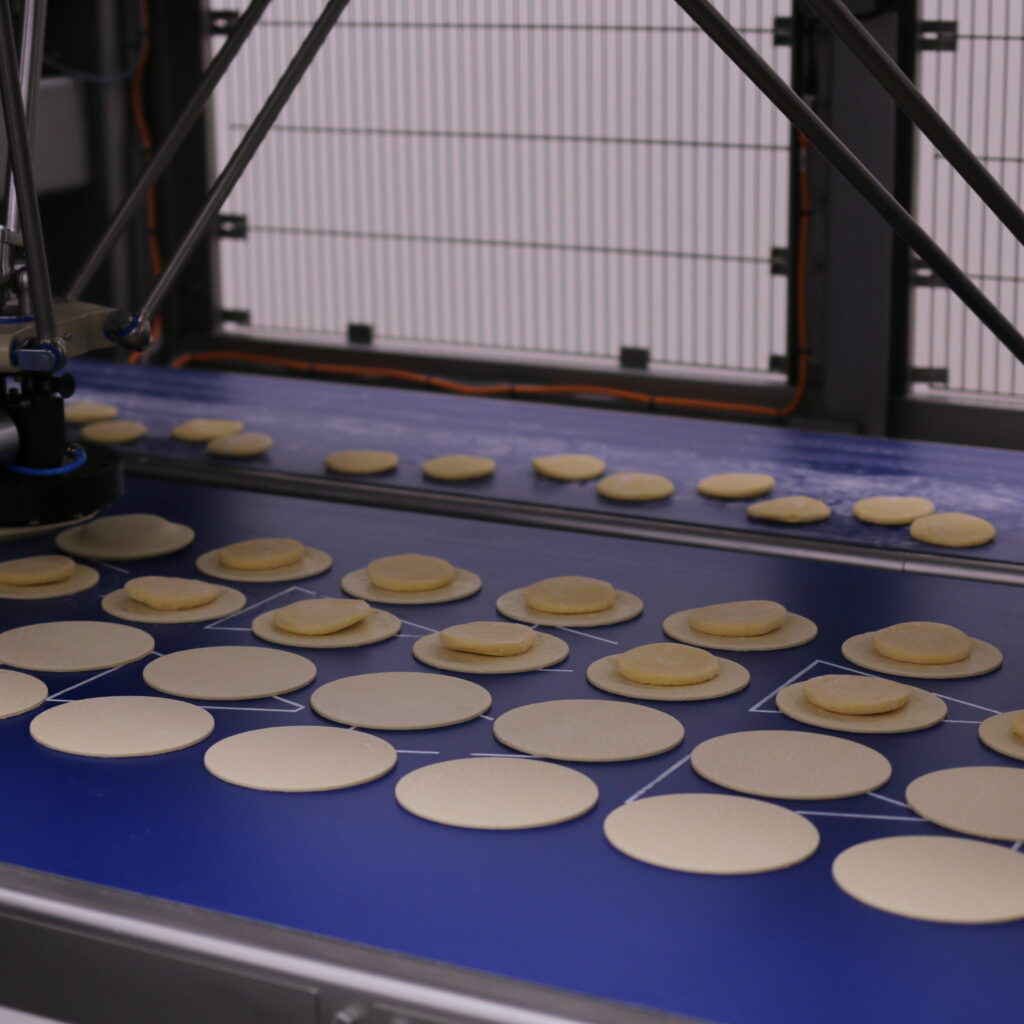 Rademaker Robotics
